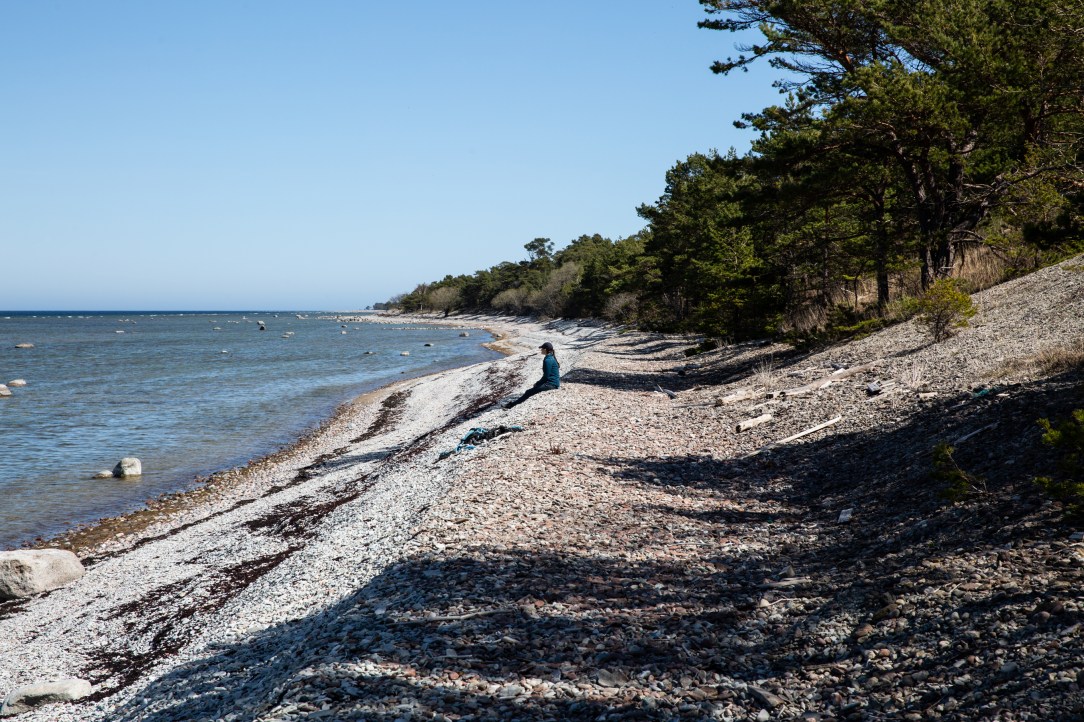 2018-05-04, Landskapsvandringar, Gotland. Fredagen den 4 maj 2018 besökte Kronprinsessan Gotland för att genomföra sin åttonde vandring i Sveriges landskap. Vandringen genomfördes på den nordvästra delen av ön. Turen startade vid Harviken, gick ge
