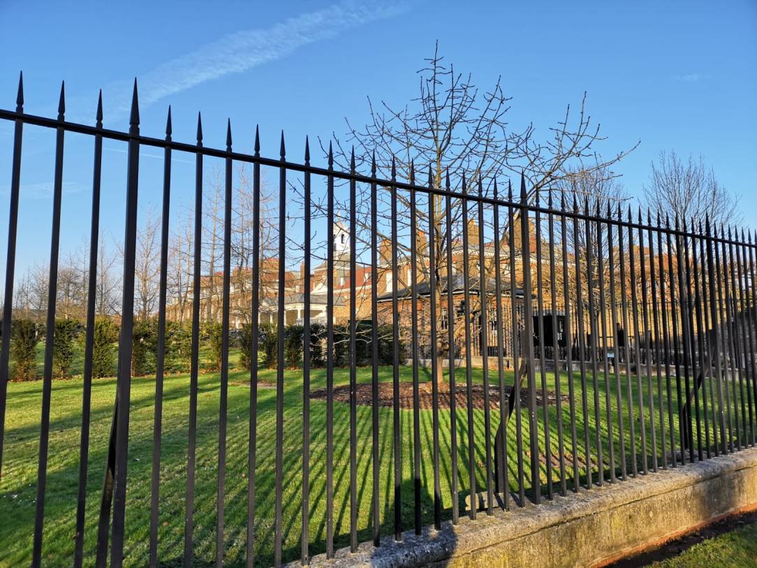 WhatsApp Image 2018-12-20 at 11.55.22